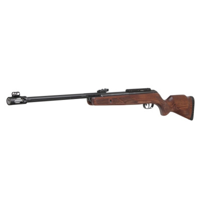Пневматическая винтовка Gamo Hunter 440 – AS IGT