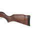 Пневматическая винтовка Gamo Hunter 440 – AS IGT